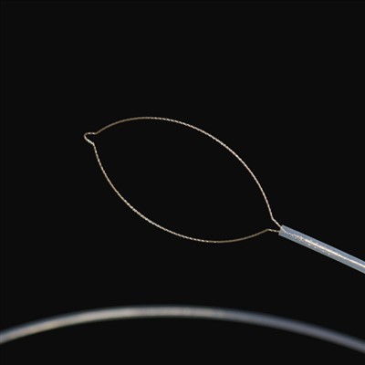 Jaw Type Force Force Force Force Force