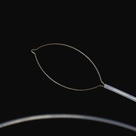 Jaw Type Force Force Force Force Force